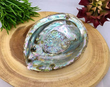 Load image into Gallery viewer, Abalone Shell Large Natural Paua Smudging Medicine Bowl