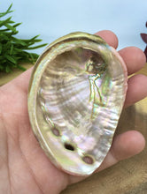 Load image into Gallery viewer, Abalone Shell Smudging Natural Small Sized Medicine Bowl