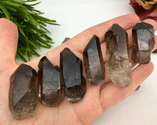 Load image into Gallery viewer, Smoky Quartz Crystal Point Rough Raw Stone
