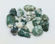 Load image into Gallery viewer, Tree Agate 3 Tumbled Stones Crystals Gemstones
