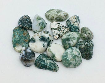 Tree Agate 3 Tumbled Stones Crystals Gemstones