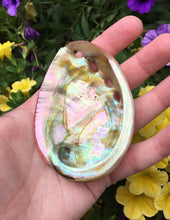 Load image into Gallery viewer, Abalone Shell Smudging Natural Small Sized Medicine Bowl
