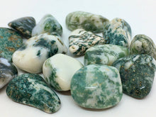 Load image into Gallery viewer, Tree Agate 3 Tumbled Stones Crystals Gemstones
