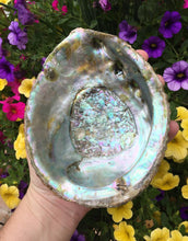 Load image into Gallery viewer, Abalone Shell Smudging Natural Small Sized Medicine Bowl
