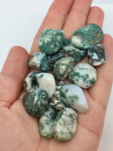 Load image into Gallery viewer, Tree Agate 3 Tumbled Stones Crystals Gemstones
